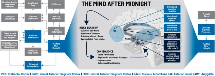 科学家呼吁对人体大脑在午夜后清醒时如